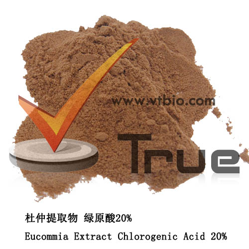 Eucommia Extract 