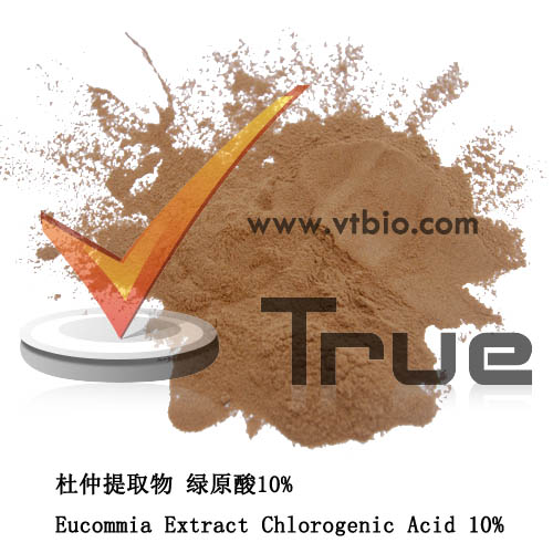 Eucommia Extract 
