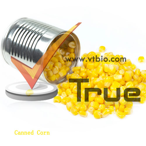 Canned Corn