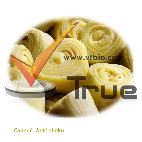 Canned Artichoke